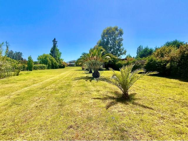 Local Comercial en Las Cabras