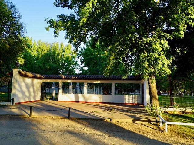 Local Comercial en Maule