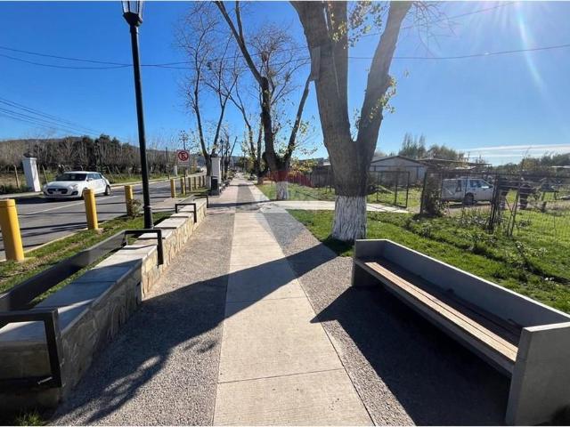Local Comercial en Maule