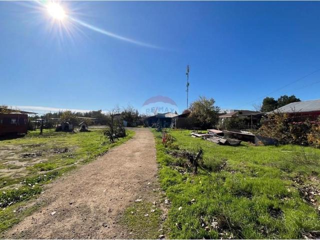Local Comercial en Maule