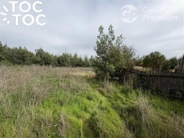 Local Comercial en Maule