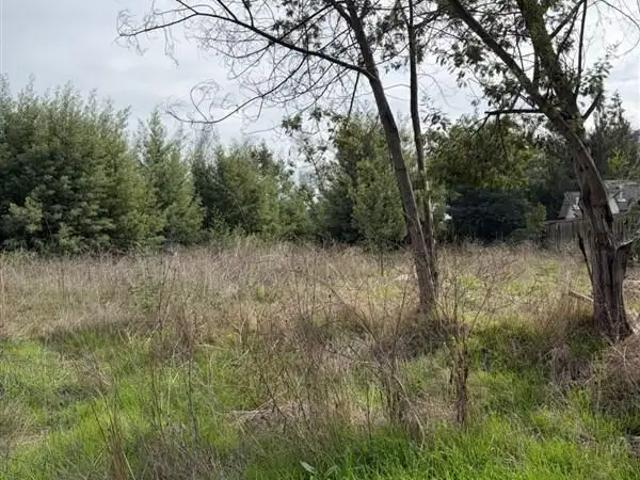 Local Comercial en Maule