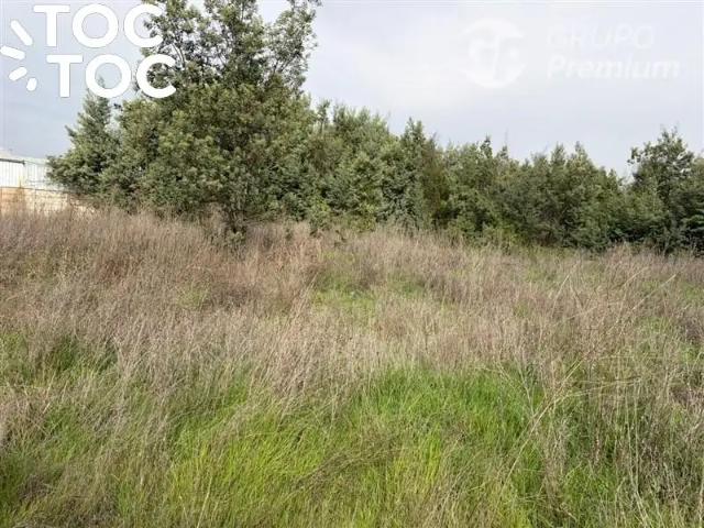Local Comercial en Maule
