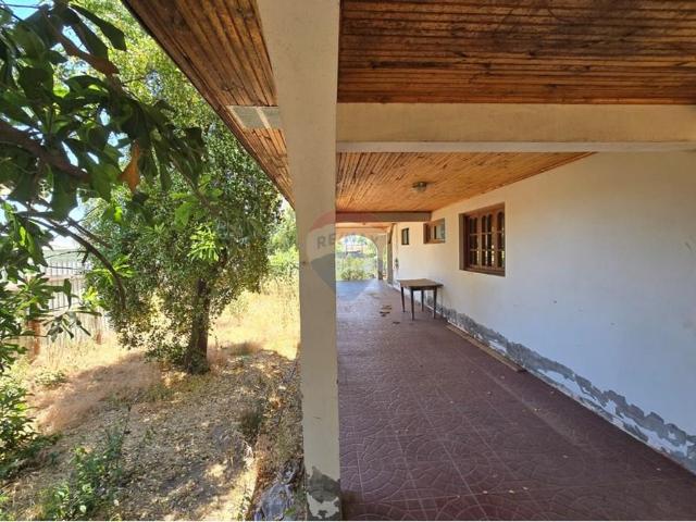 Local Comercial en Maule