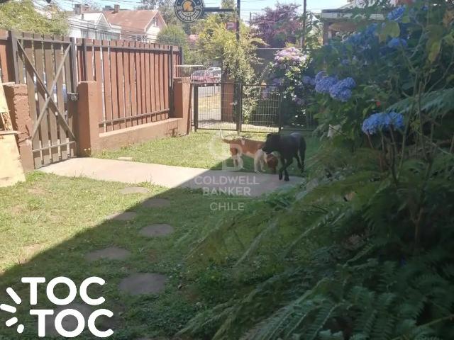 Local Comercial en Osorno