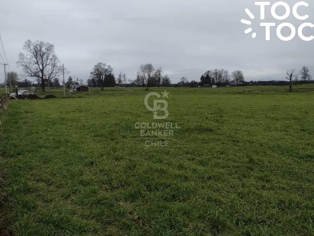 Local Comercial en Osorno