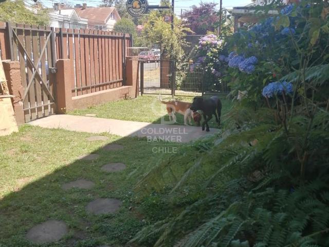 Local Comercial en Osorno