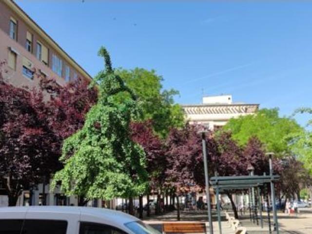 Local Comercial en venta en Pardaleras, Tierra de Badajoz