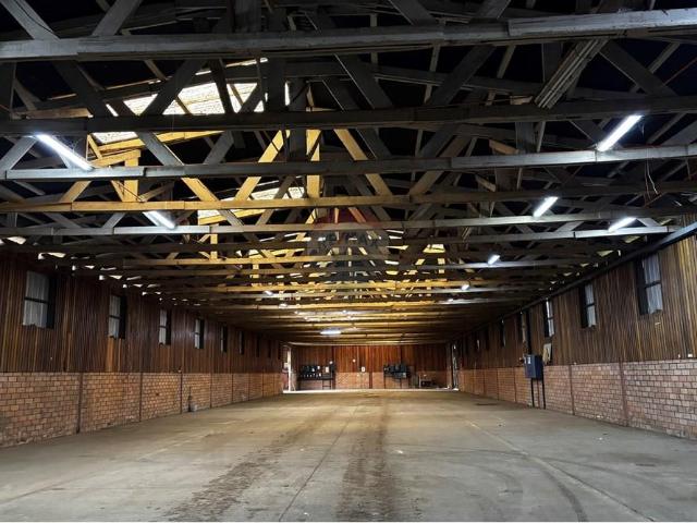 Local Comercial en Pitrufquén