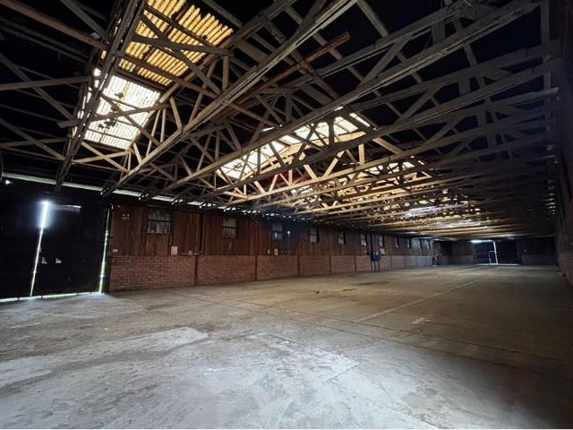 Local Comercial en Pitrufquén