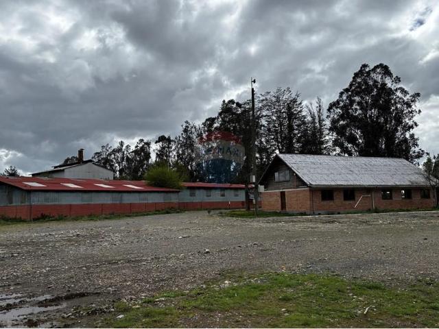 Local Comercial en Pitrufquén