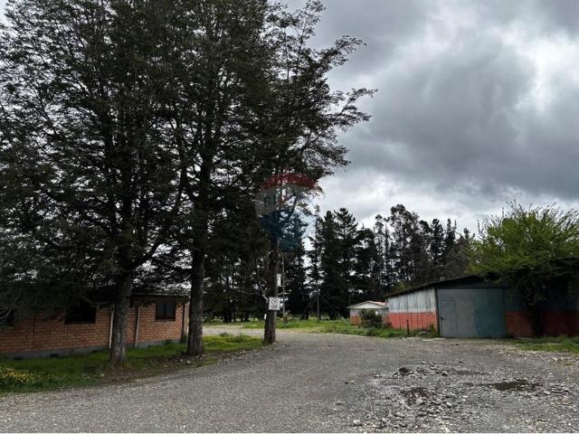 Local Comercial en Pitrufquén