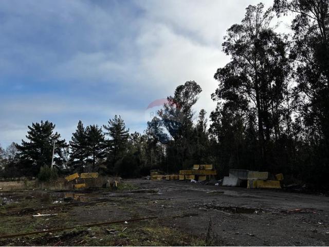 Local Comercial en Pitrufquén