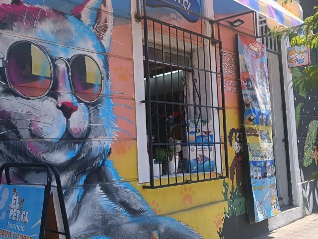 Local Comercial en Providencia