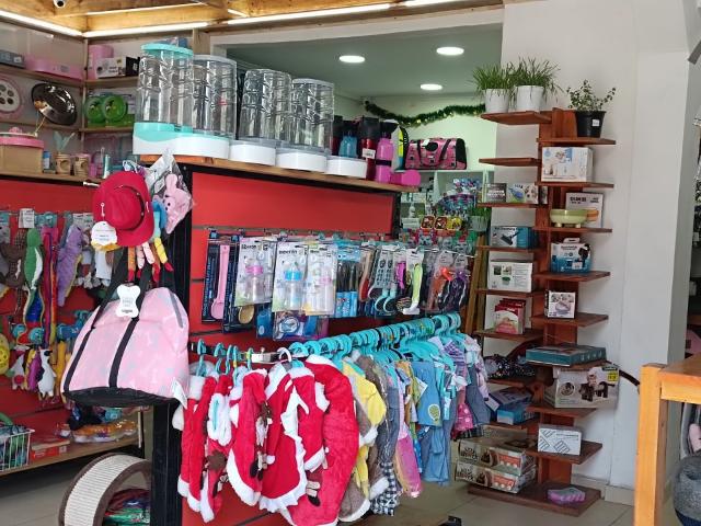 Local Comercial en Providencia