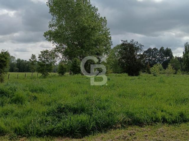 Local Comercial en Río Bueno