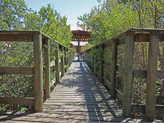 Local Comercial en San Clemente