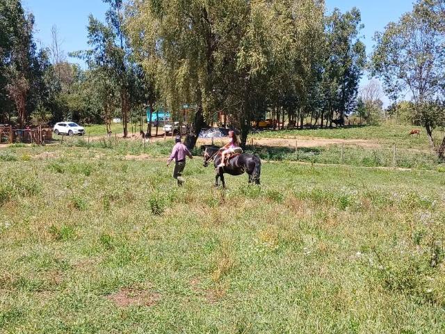 Local Comercial en San Rafael