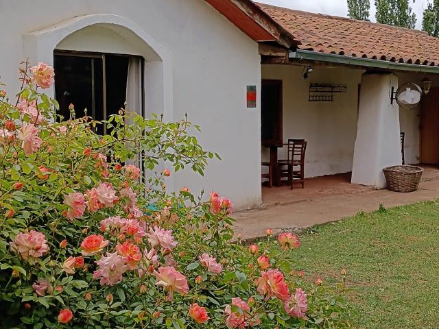 Local Comercial en San Rafael