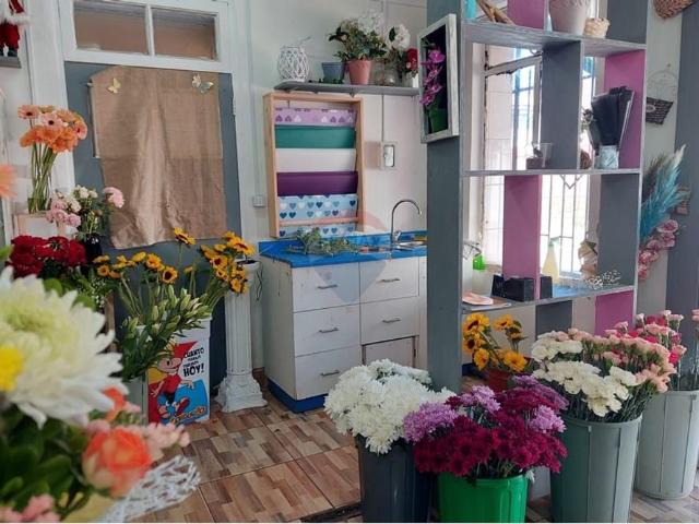 Local Comercial en Tomé