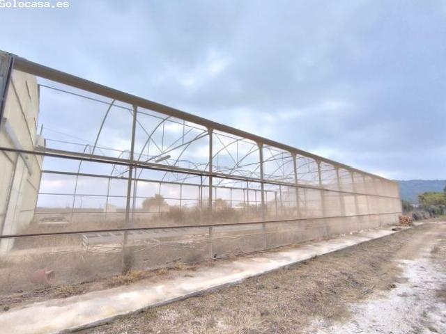 Local Comercial en venta en La Columna, el Vinalopó Mitjà / El Vinalopó Medio