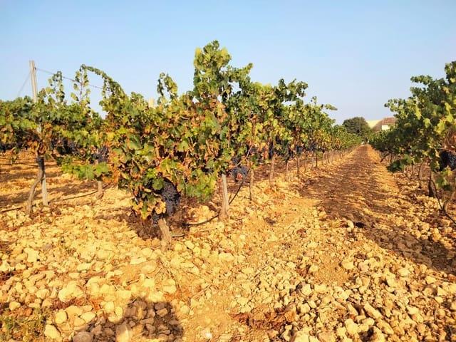 Local Comercial en venta en Raiguer, Baleares
