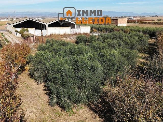 Nave en venta en Alt Camp, Catalunya