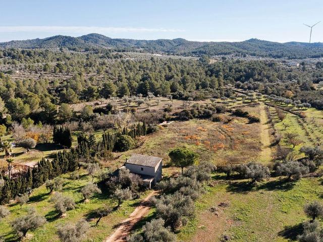 Local Comercial en venta en Baix Ebre, Catalunya