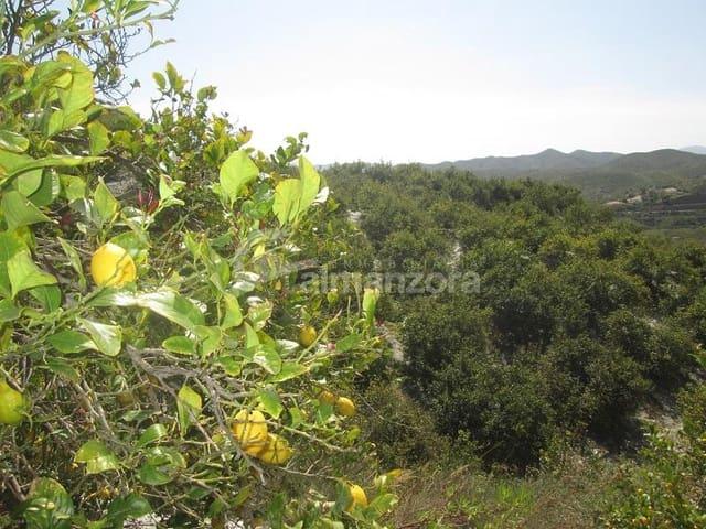 Local Comercial en venta en El Fas, Valle del Almanzora
