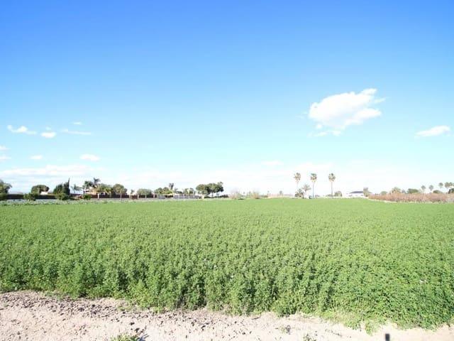 Local Comercial en venta en el Baix Segura / La Vega Baja, Valencia