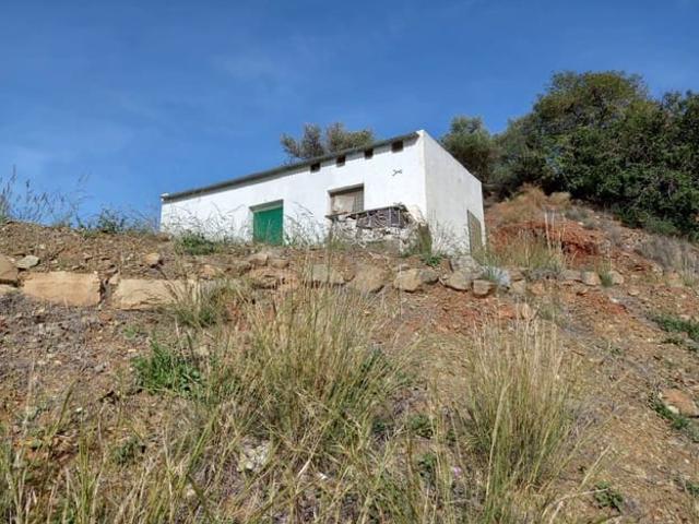 Local Comercial en venta en Puerto de la Torre, Málaga-Costa del Sol