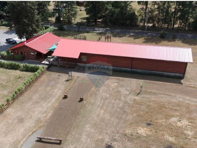 Local Comercial en Villarrica