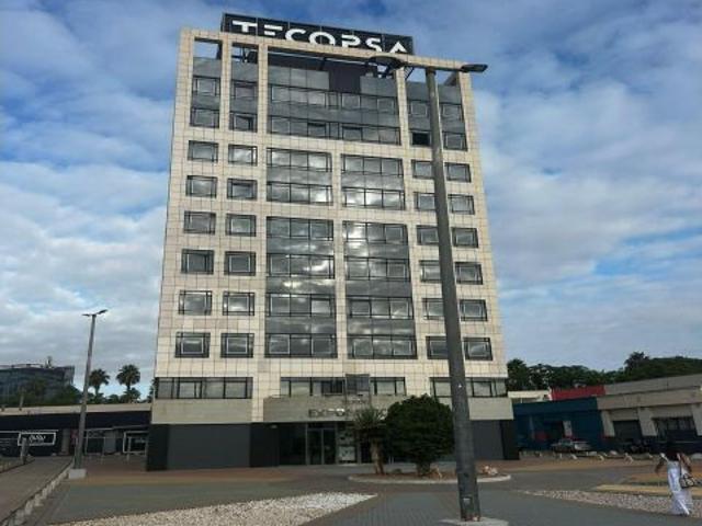 Local Comercial en alquiler en Murcia, Área Metropolitana de Murcia