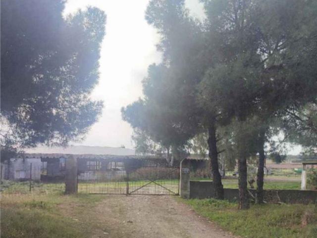 Local Comercial en venta en Almoharín, Cáceres