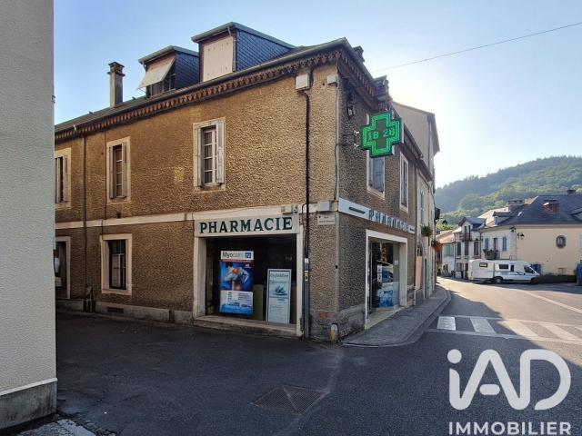 Local Commercial vente à Argelès-Gazost, Saint-pé-de-bigorre