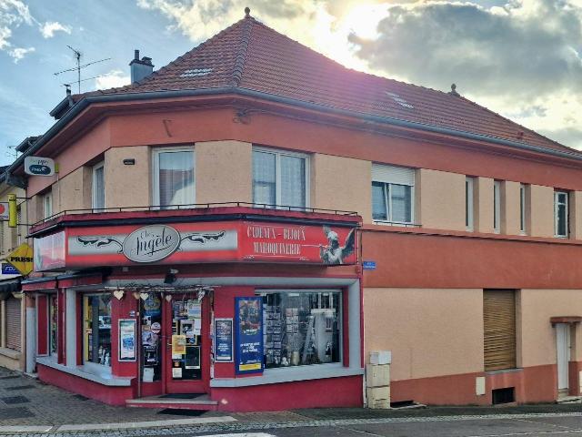 Local Commercial vente à Sarreguemines, Puttelange-aux-lacs