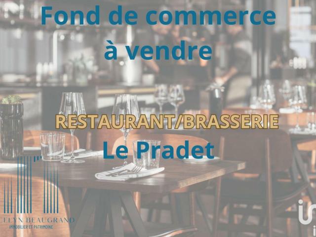 Local Commercial vente à Arrondissement de Toulon, Le Pradet