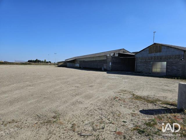 Local Commercial vente à Castelsarrasin, Saint-nicolas-de-la-grave