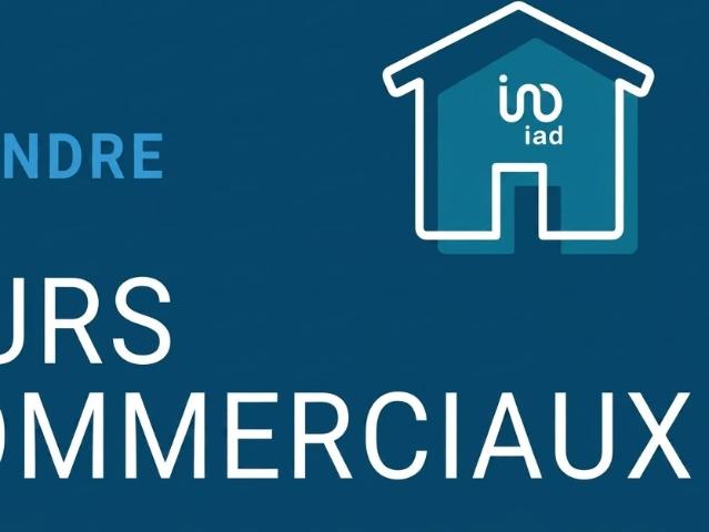 Local Commercial vente à Béziers, Agde