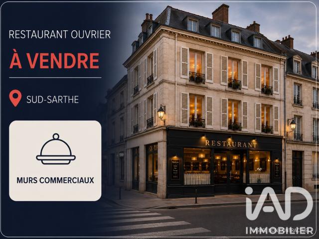 Local Commercial vente à La Flèche, Le Lude