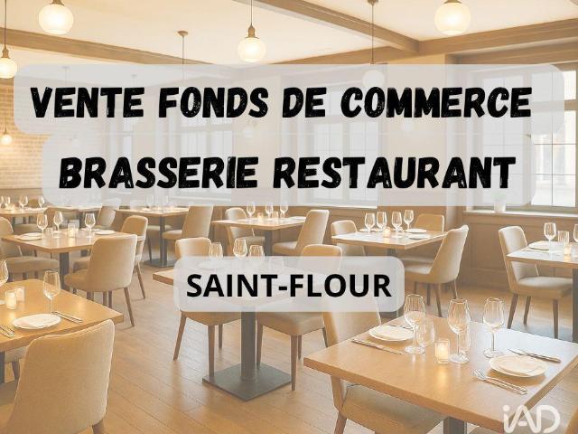 Local Commercial vente à Saint-Flour, Andelat