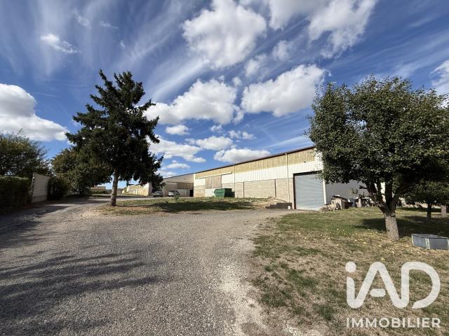 Local Commercial vente à Beaumont-sur-Vesle, Marne