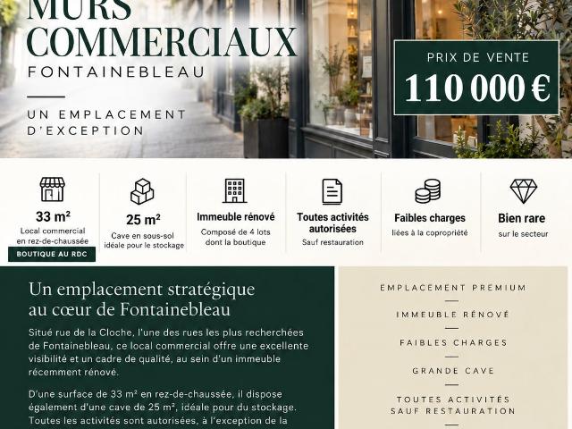 Local Commercial vente à Damesme, Fontainebleau