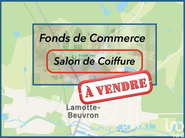 Local Commercial vente à Romorantin-Lanthenay, Lamotte-beuvron