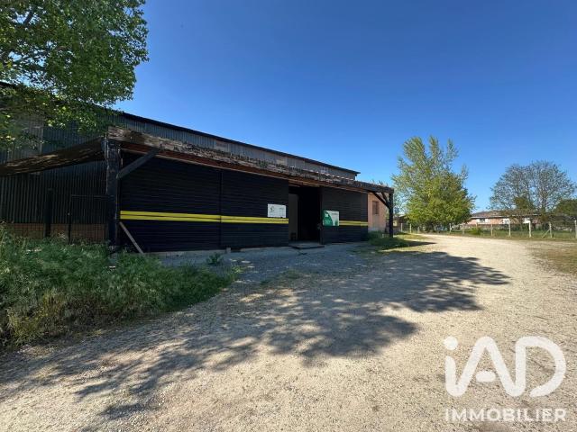 Local Commercial vente à Le Puch, Preignac
