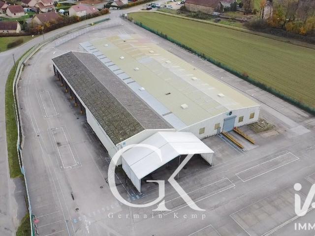 Local Commercial vente à Saint-André-le-Gaz, Isère