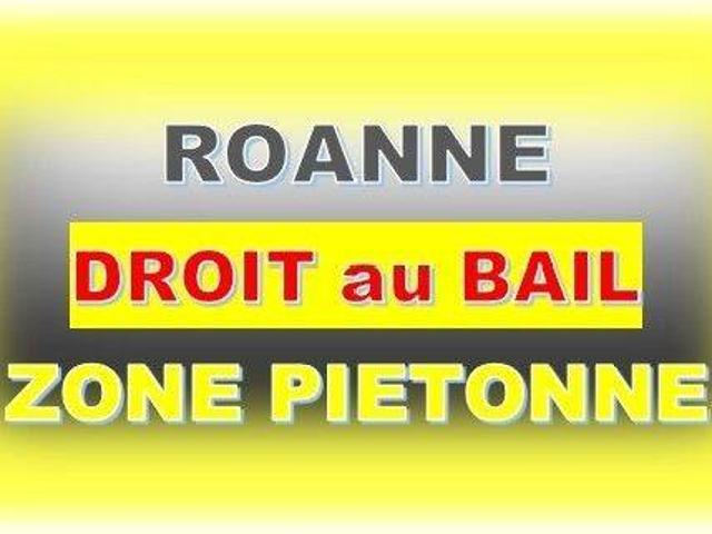 Local Commercial vente à Roanne, Champlong Local Commercial vente à Roanne, Champlong