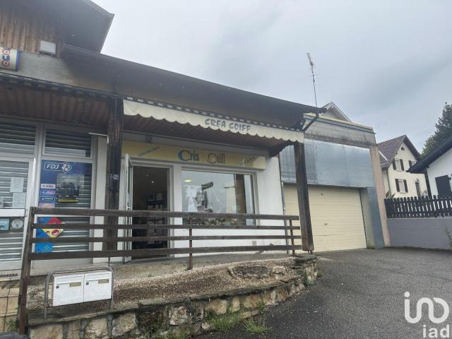 Local Commercial vente à Altkirch, Roppentzwiller