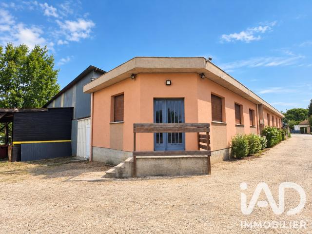 Local Commercial vente à Le Puch, Preignac