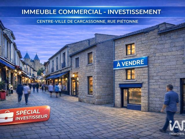 Local Commercial vente à Carcassonne